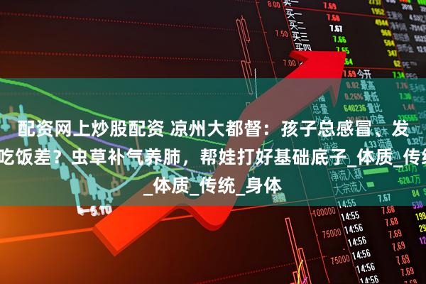 配资网上炒股配资 凉州大都督：孩子总感冒、发育慢、吃饭差？虫草补气养肺，帮娃打好基础底子_体质_传统_身体